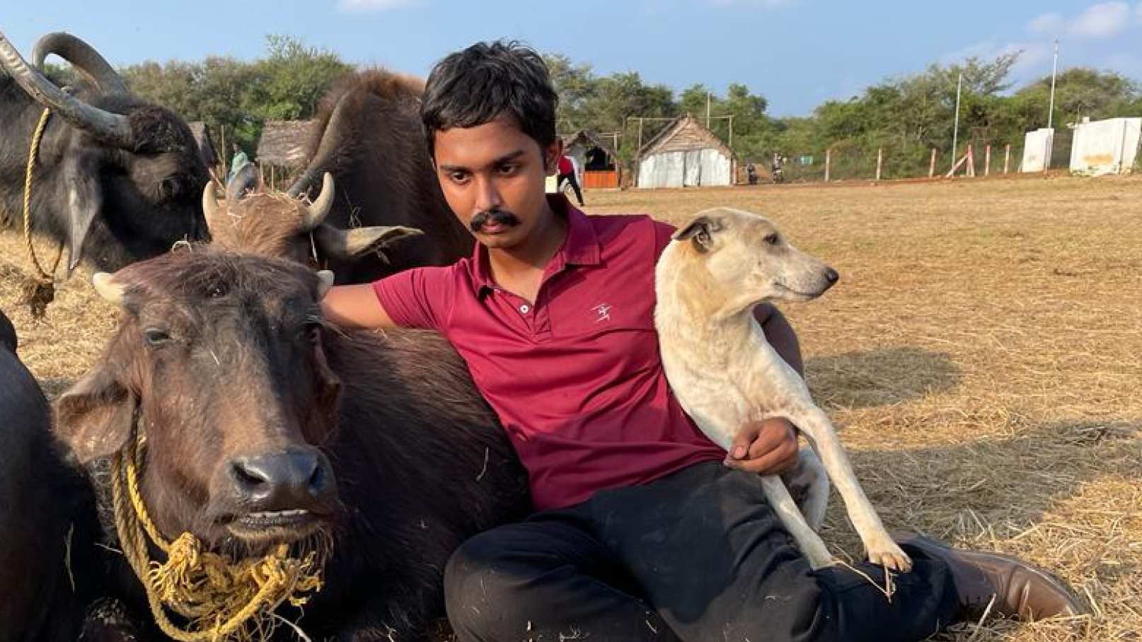 Almighty Animal Sanctuary cover image